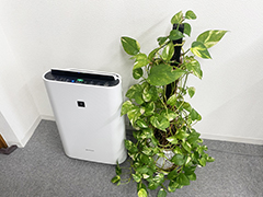 空気清浄機24時間稼働